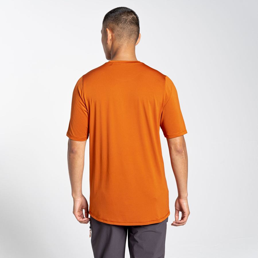 Camisetas Craghoppers Belardo Corta Sleeved Hombre Naranjas | MNZ4647OZ