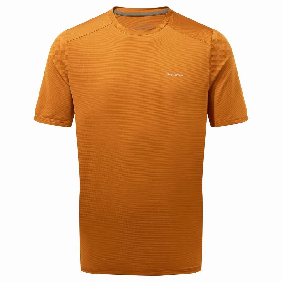 Camisetas Craghoppers Belardo Corta Sleeved Hombre Naranjas | MNZ4647OZ