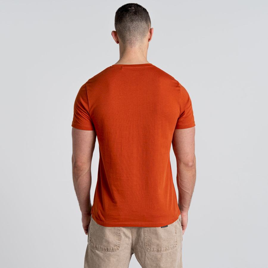 Camisetas Craghoppers Caldo Corta Sleeved Hombre Naranjas | EJT114VY