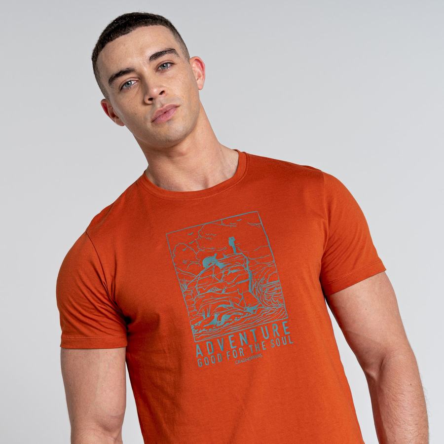 Camisetas Craghoppers Caldo Corta Sleeved Hombre Naranjas | EJT114VY