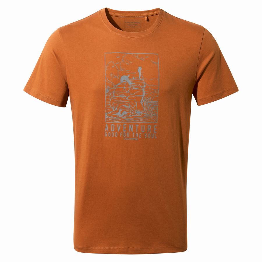 Camisetas Craghoppers Caldo Corta Sleeved Hombre Naranjas | EJT114VY