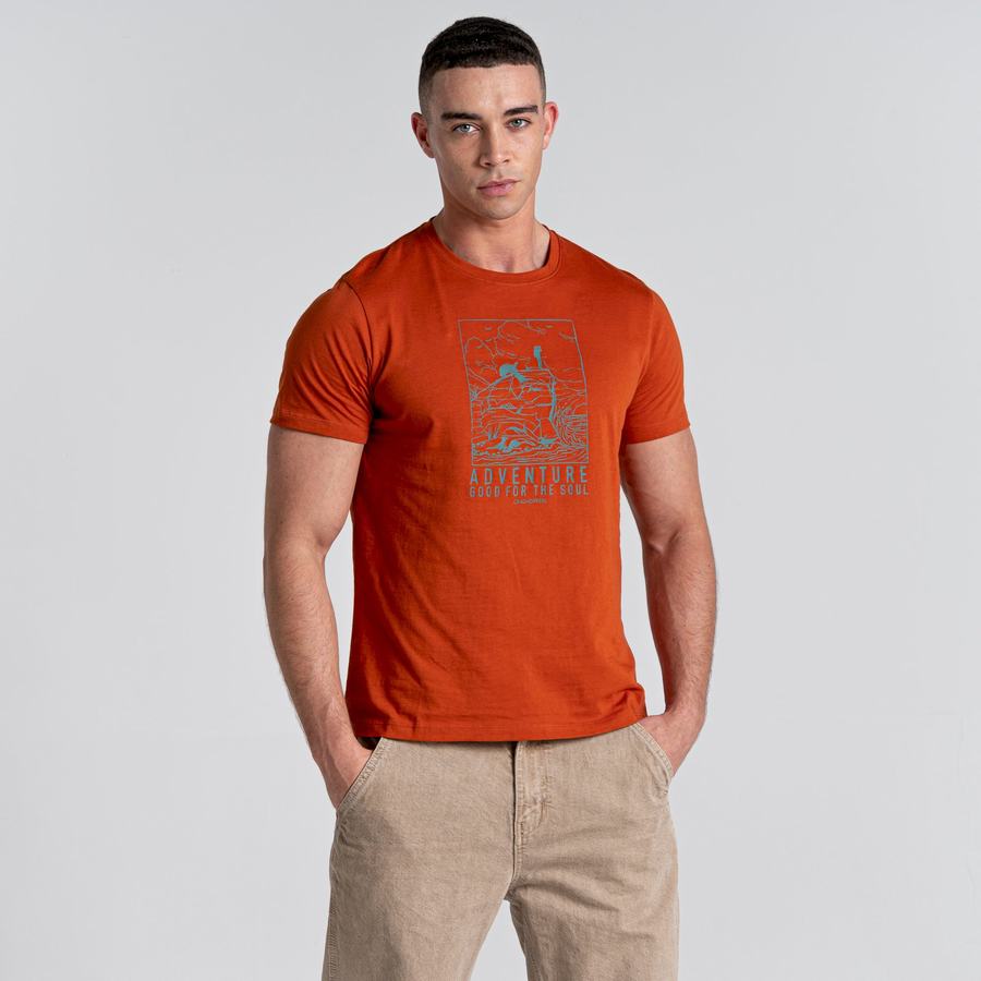 Camisetas Craghoppers Caldo Corta Sleeved Hombre Naranjas | EJT114VY