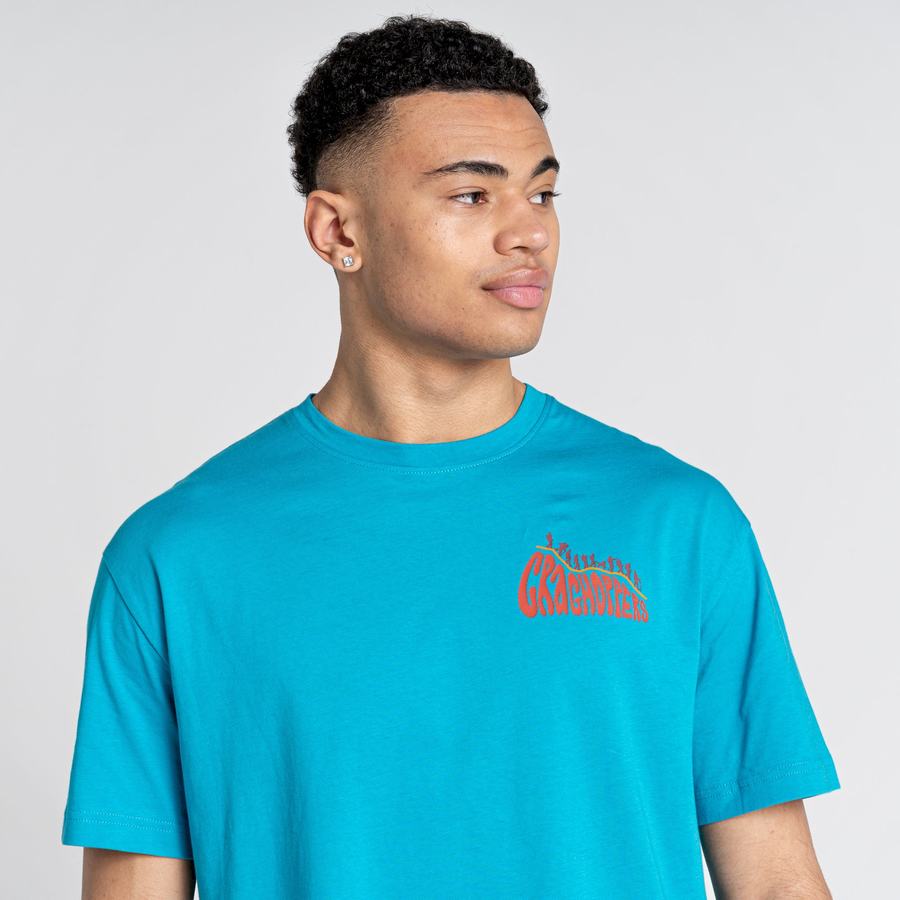 Camisetas Craghoppers Crosby Corta Sleeved Hombre Azules | AHB2443NW