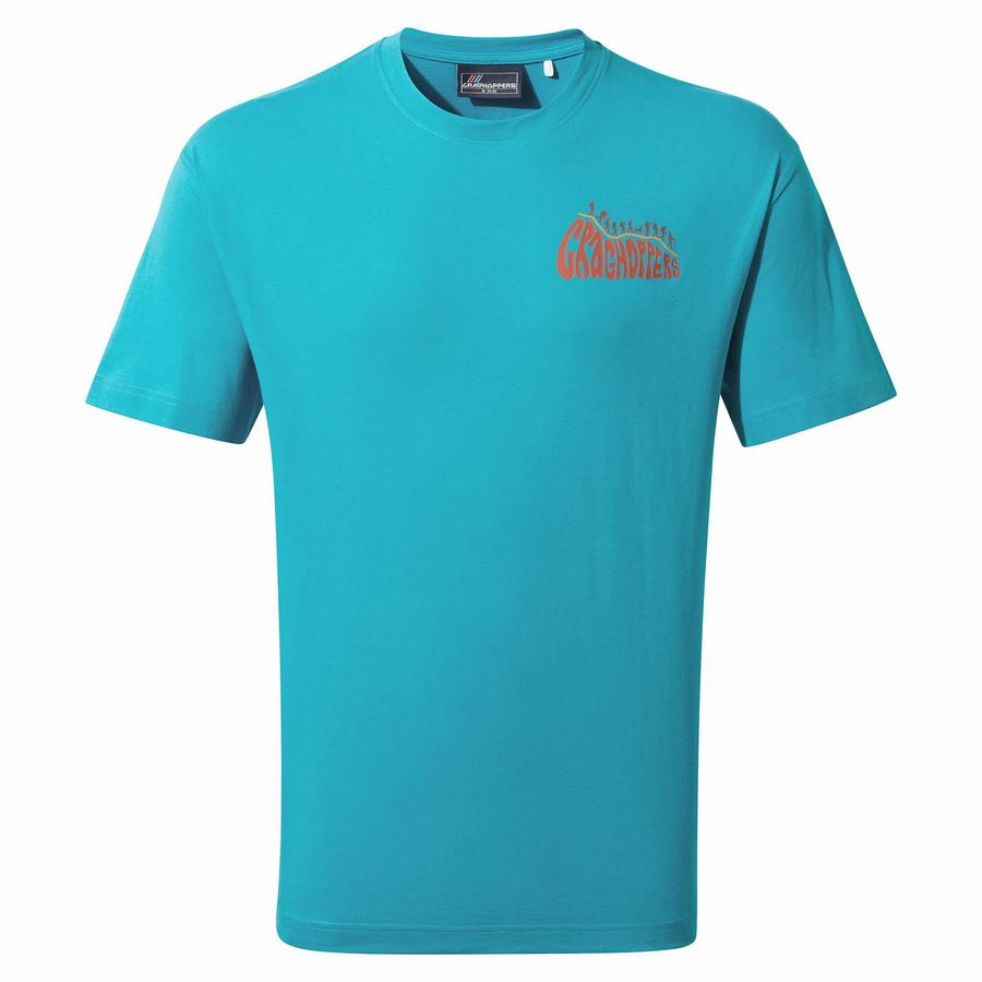 Camisetas Craghoppers Crosby Corta Sleeved Hombre Azules | AHB2443NW