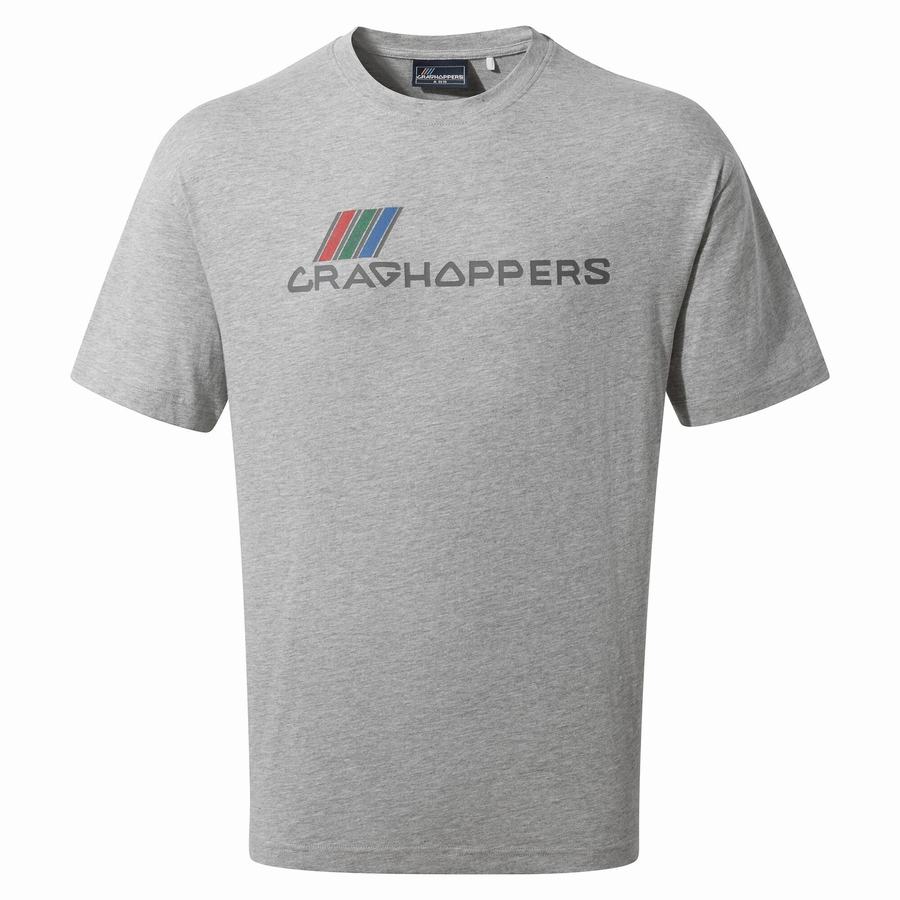 Camisetas Craghoppers Crosby Corta Sleeved Hombre Grises | JKD1636UJ