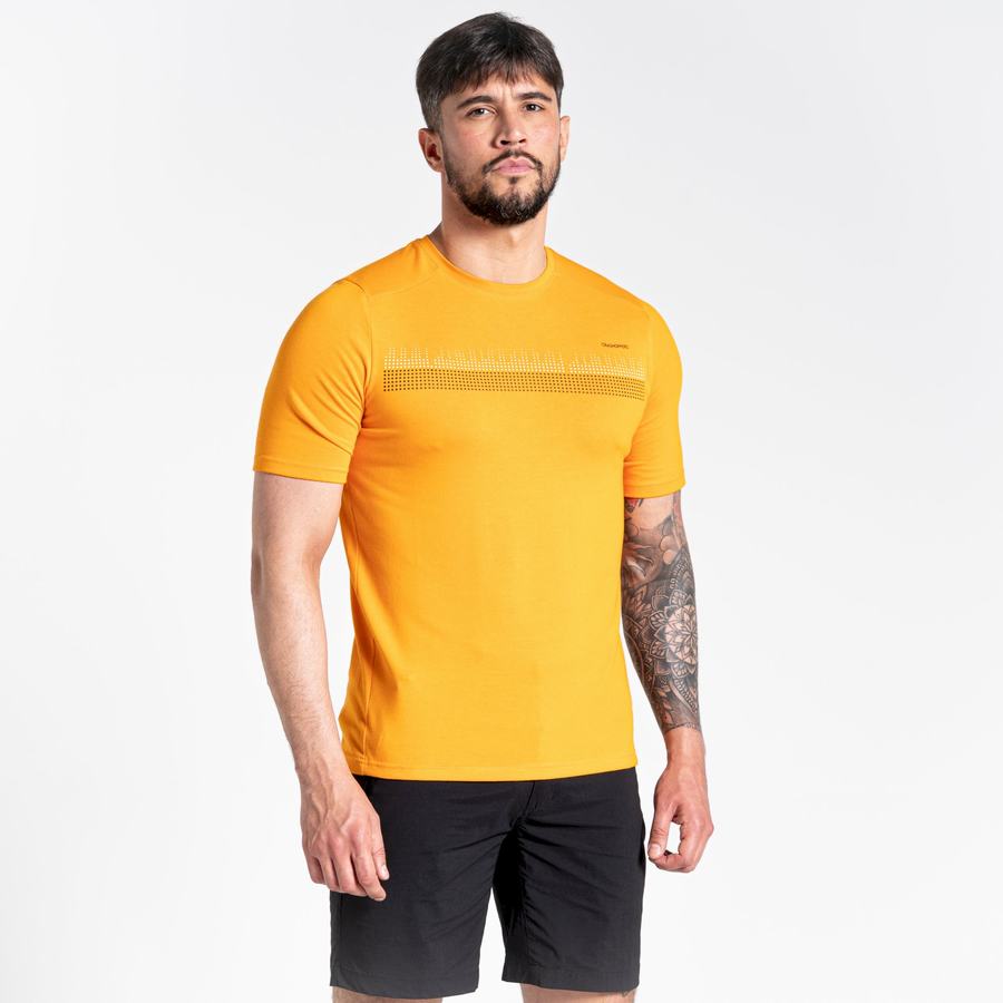 Camisetas Craghoppers Dynamic Corta Sleeved Hombre Naranjas | BWI1473TY