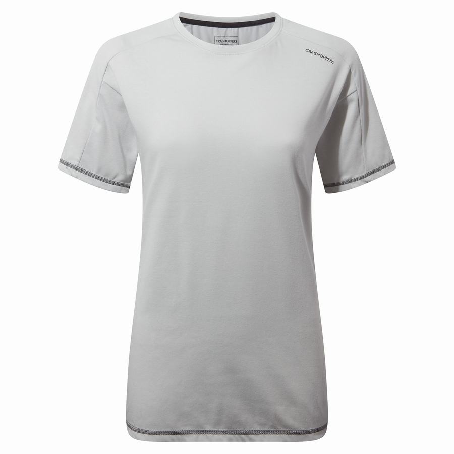 Camisetas Craghoppers Dynamic Corta Sleeved Mujer Grises | EVX6525SP