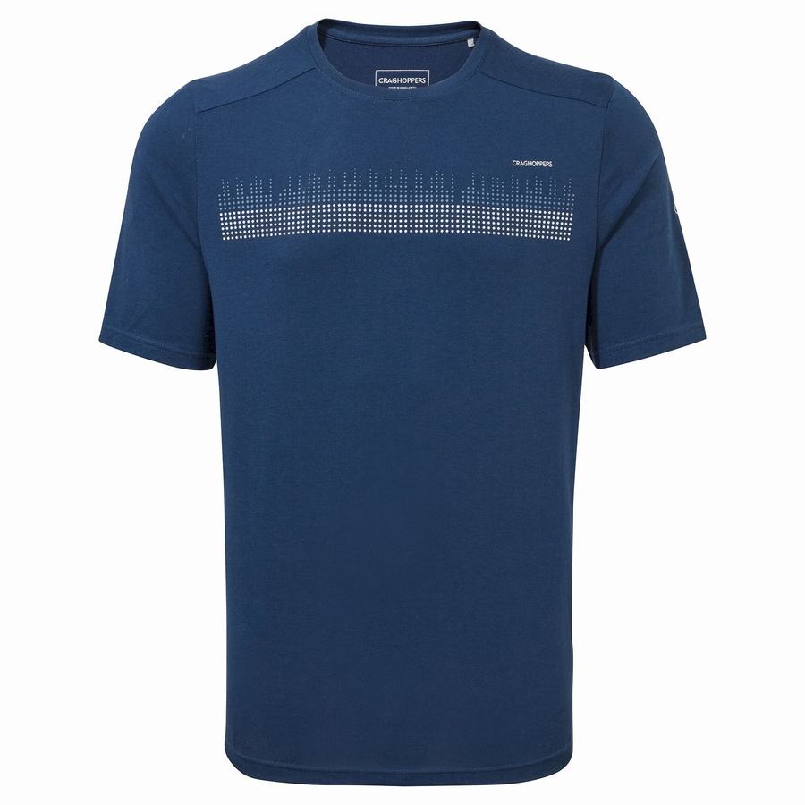 Camisetas Craghoppers Dynamic Corta Sleeved Poseidon Hombre Azul Marino Azules | FLY3319IG