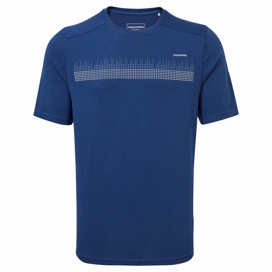 Camisetas Craghoppers Dynamic Corta Sleeved Poseidon Hombre Azul Marino Azules | FLY3319IG