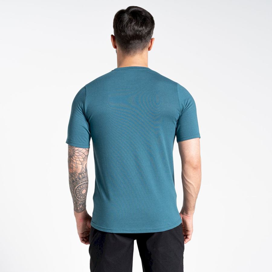 Camisetas Craghoppers Dynamic Corta Sleeved Hombre Verdes | NSV8610HD