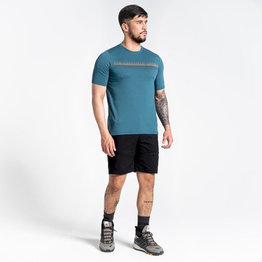 Camisetas Craghoppers Dynamic Corta Sleeved Hombre Verdes | NSV8610HD