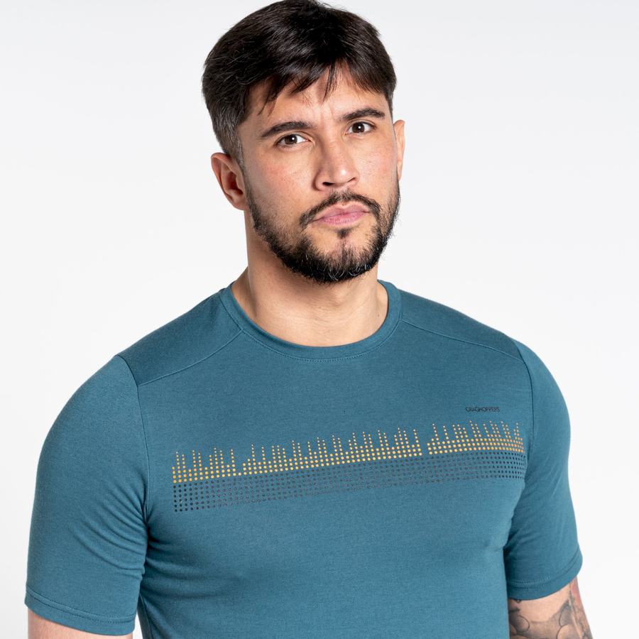 Camisetas Craghoppers Dynamic Corta Sleeved Hombre Verdes | NSV8610HD