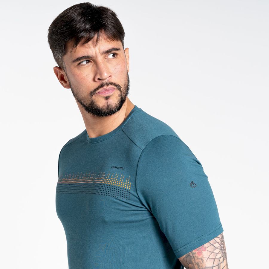 Camisetas Craghoppers Dynamic Corta Sleeved Hombre Verdes | NSV8610HD