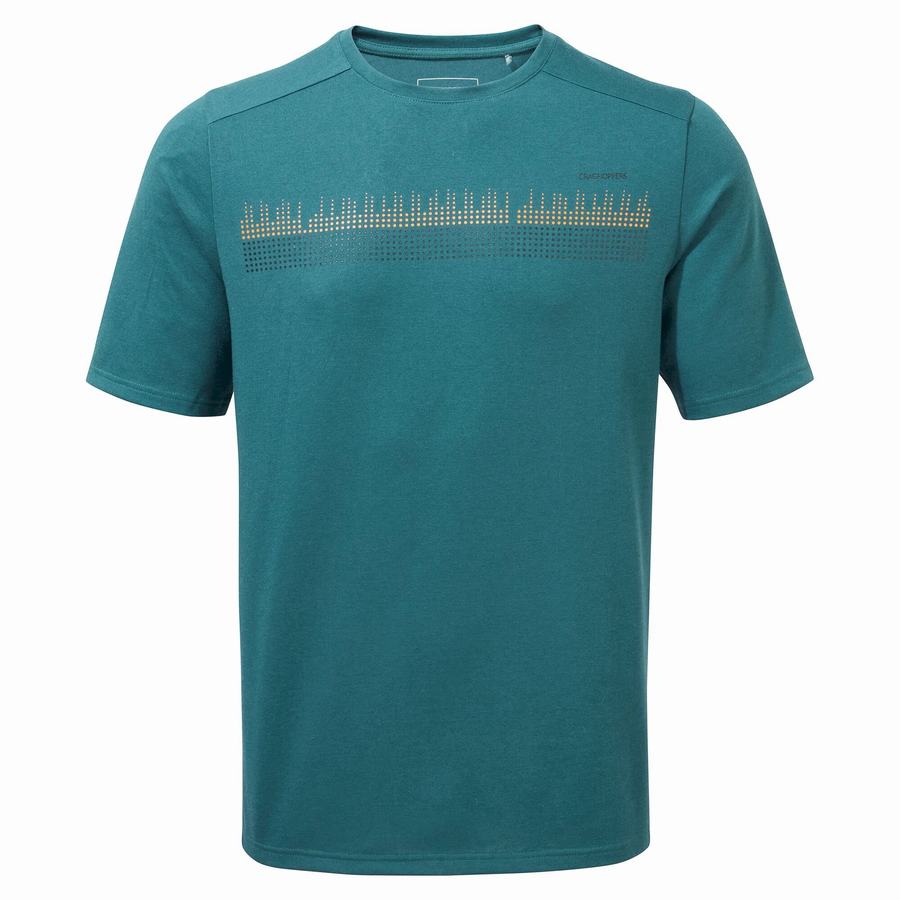 Camisetas Craghoppers Dynamic Corta Sleeved Hombre Verdes | NSV8610HD