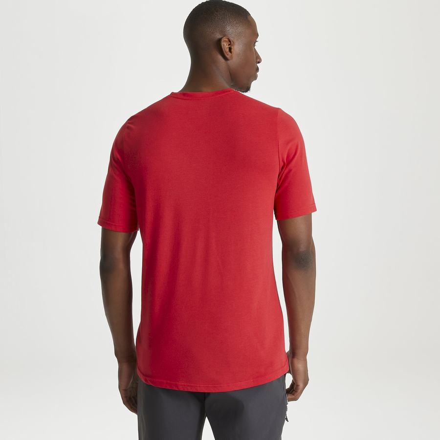 Camisetas Craghoppers Dynamic Corta Sleeved Sriracha Red Hombre Rojos | YUB5596WC