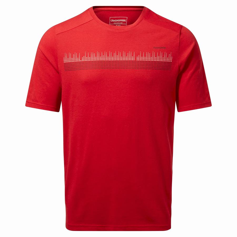 Camisetas Craghoppers Dynamic Corta Sleeved Sriracha Red Hombre Rojos | YUB5596WC