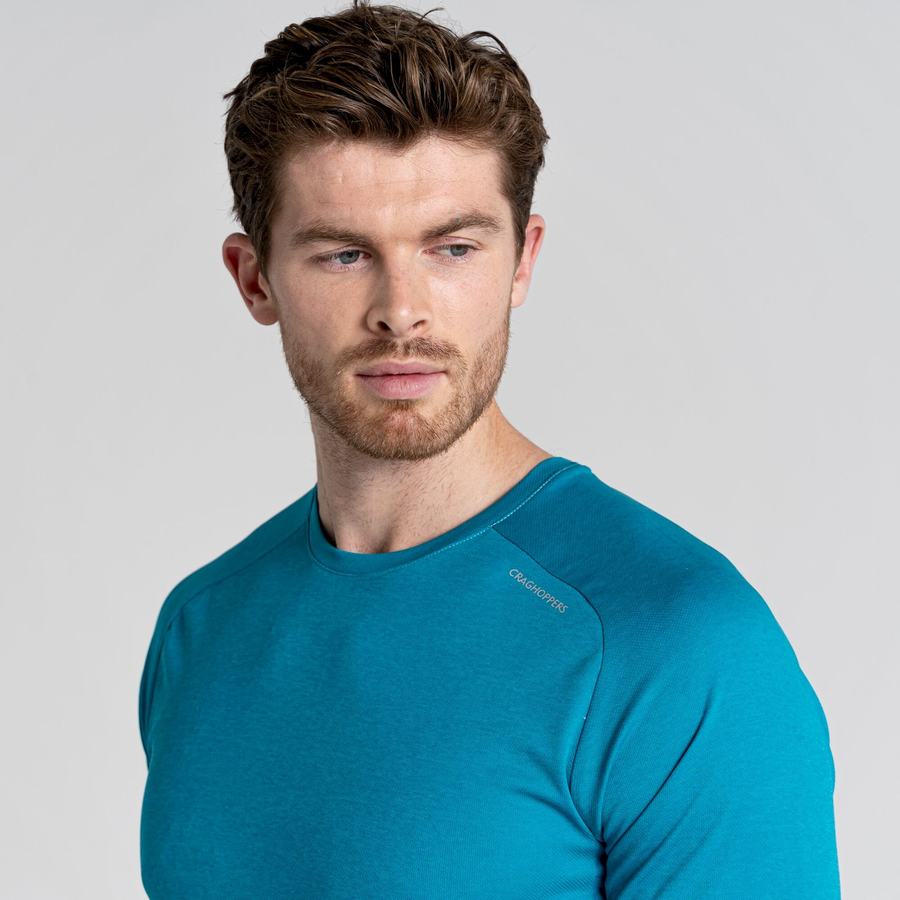 Camisetas Craghoppers Dynamic Pro Corta Sleeved Hombre Azules | TWH6978VA