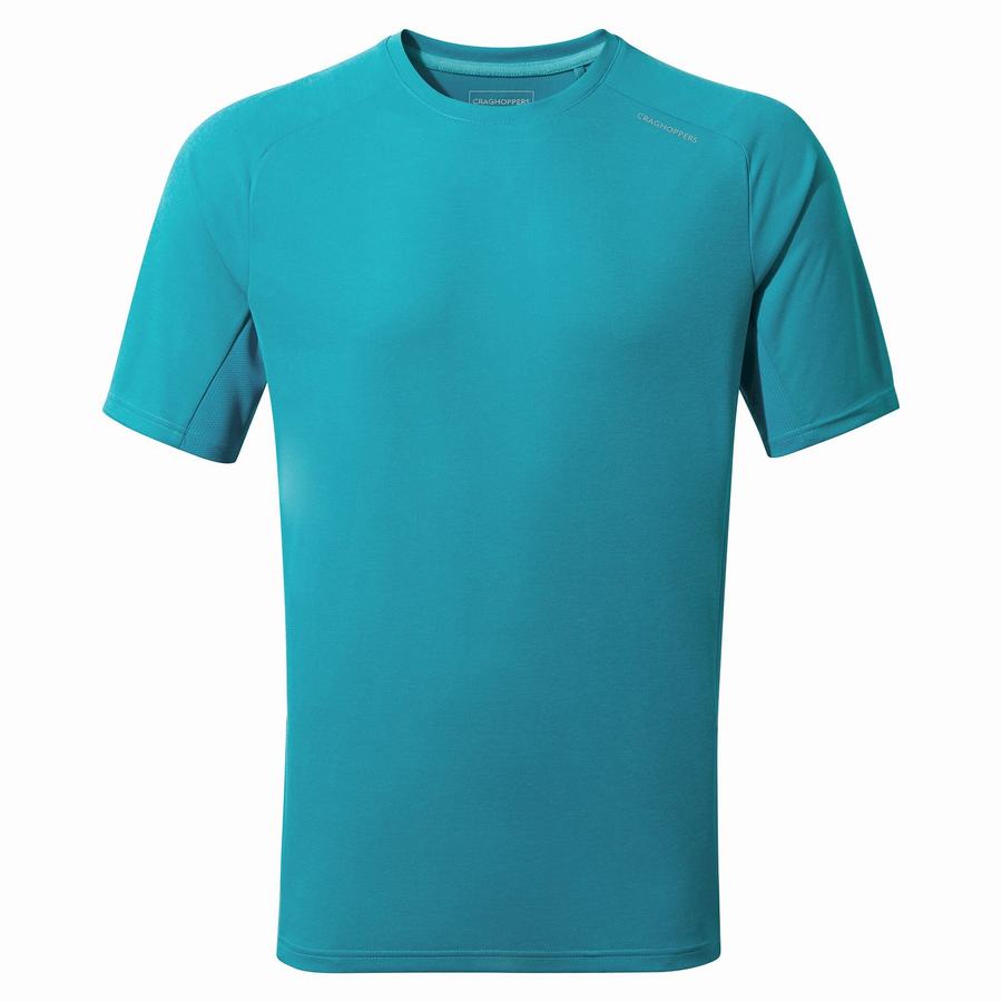 Camisetas Craghoppers Dynamic Pro Corta Sleeved Hombre Azules | TWH6978VA