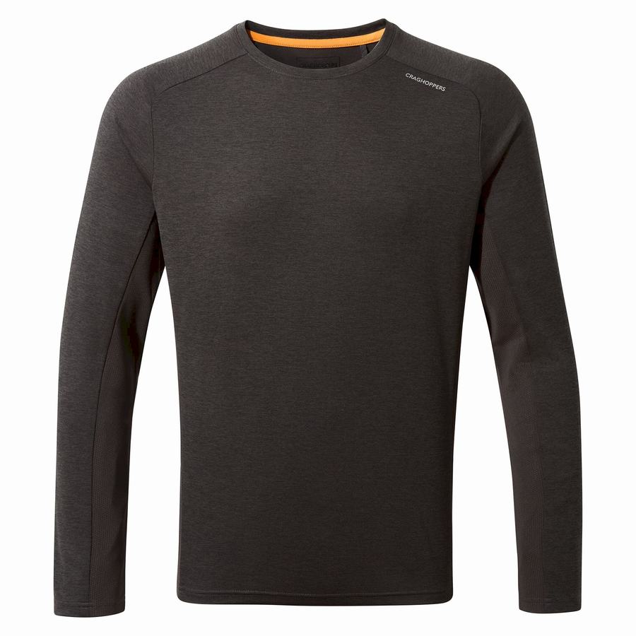 Camisetas Craghoppers Dynamic Pro Long Sleeved Hombre Negros | EDR9398QB