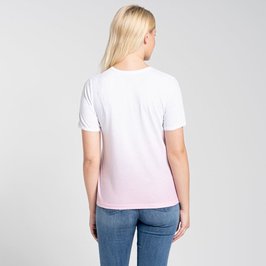 Camisetas Craghoppers Ilyse Corta Sleeved Mujer Rosas | KVD8093MB