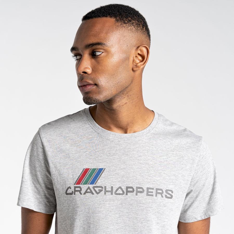 Camisetas Craghoppers Lugo Corta Sleeved Hombre Grises | USU4358IB