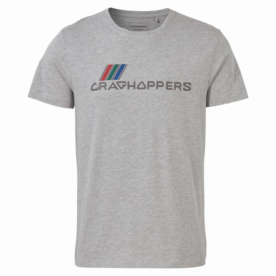 Camisetas Craghoppers Lugo Corta Sleeved Hombre Grises | USU4358IB