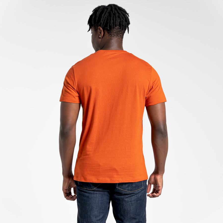 Camisetas Craghoppers Lugo Corta Sleeved Hombre Naranjas | WJF5266ND