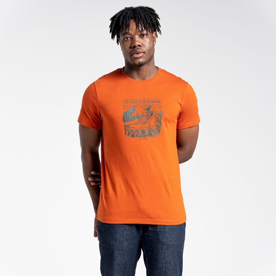 Camisetas Craghoppers Lugo Corta Sleeved Hombre Naranjas | WJF5266ND