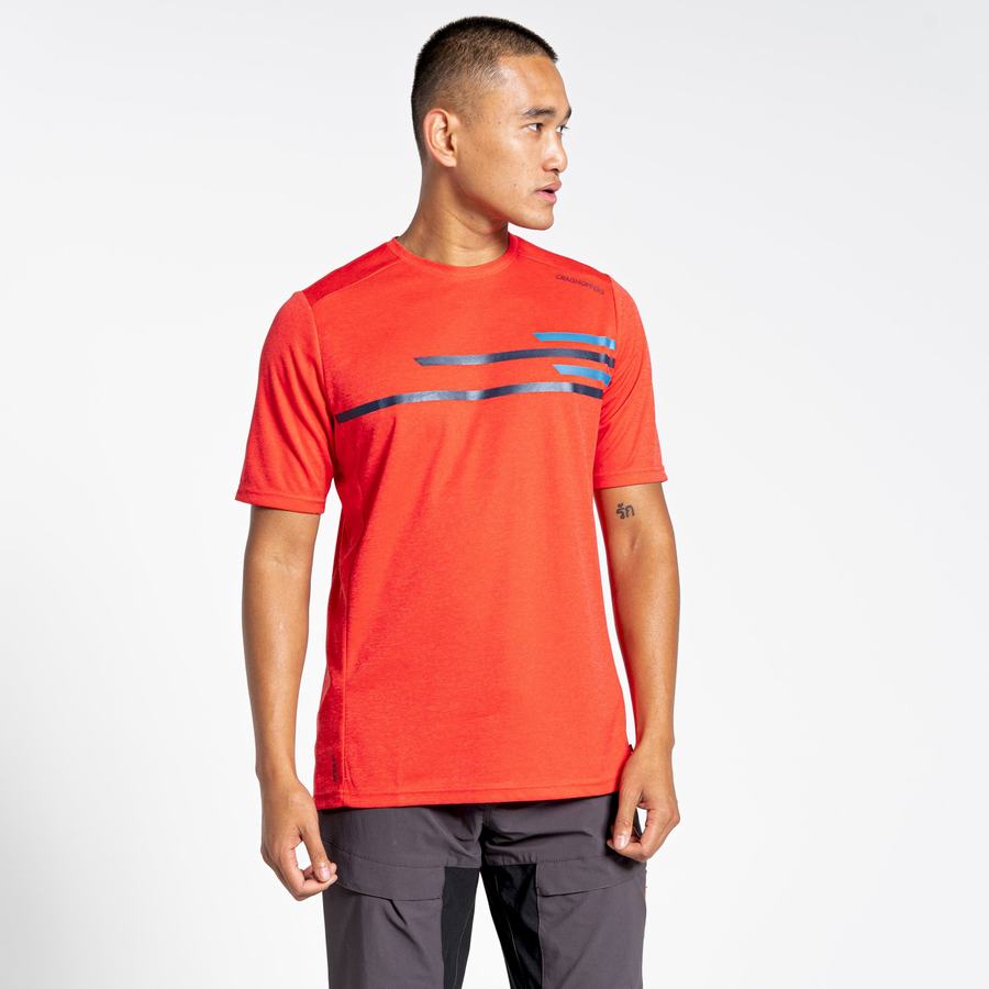 Camisetas Craghoppers NosiLife Pro Active Corta Sleeved Hombre Naranjas Rojos | BKH1135JJ