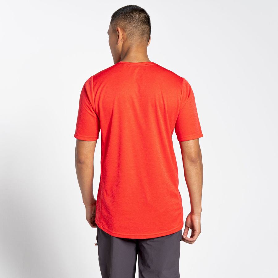 Camisetas Craghoppers NosiLife Pro Active Corta Sleeved Hombre Naranjas Rojos | BKH1135JJ