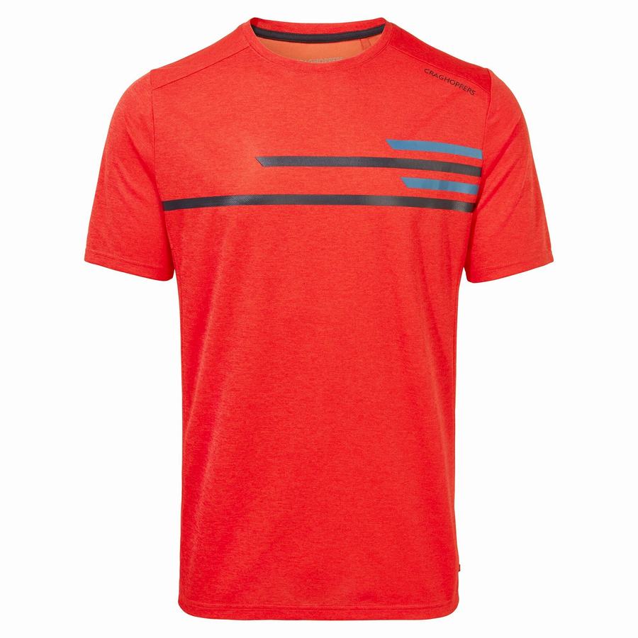 Camisetas Craghoppers NosiLife Pro Active Corta Sleeved Hombre Naranjas Rojos | BKH1135JJ