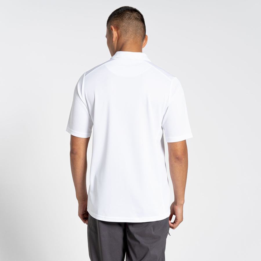 Camisetas Craghoppers NosiLife Pro Active Corta Sleeved Polo Hombre Blancos | KFC575IY