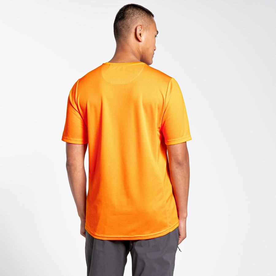 Camisetas Craghoppers NosiLife Pro Active Corta Sleeved Hombre Naranjas | UKB2923JX