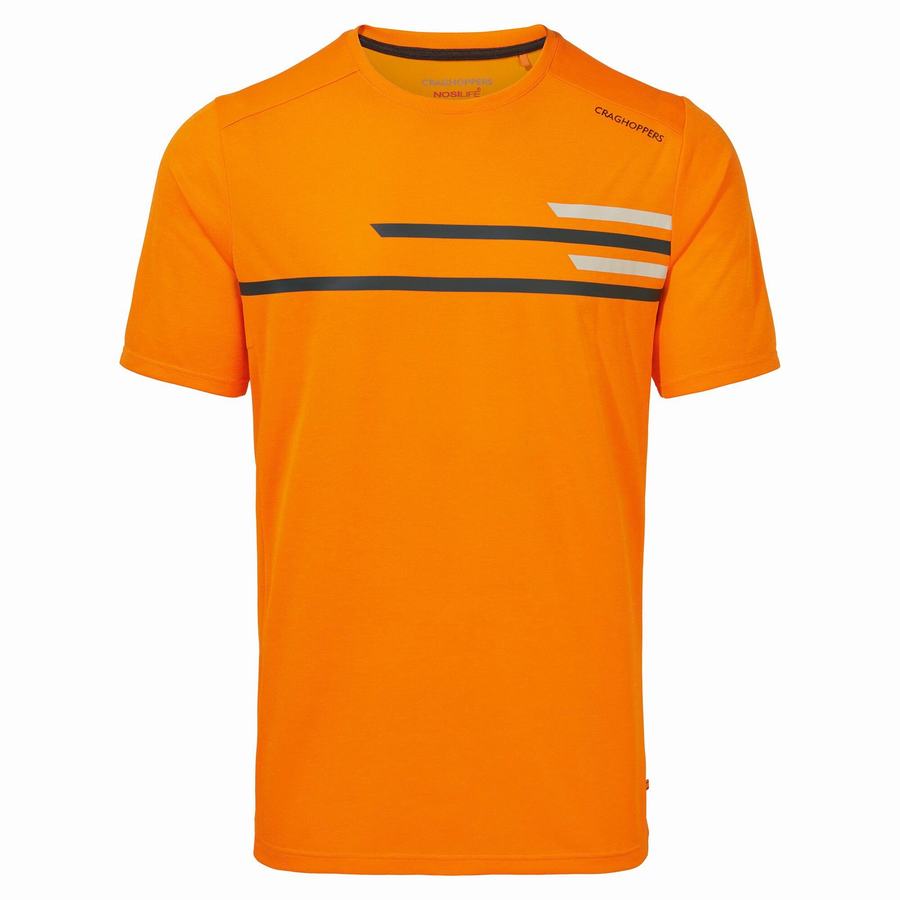 Camisetas Craghoppers NosiLife Pro Active Corta Sleeved Hombre Naranjas | UKB2923JX