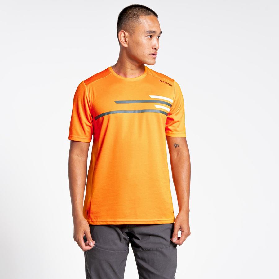 Camisetas Craghoppers NosiLife Pro Active Corta Sleeved Hombre Naranjas | UKB2923JX