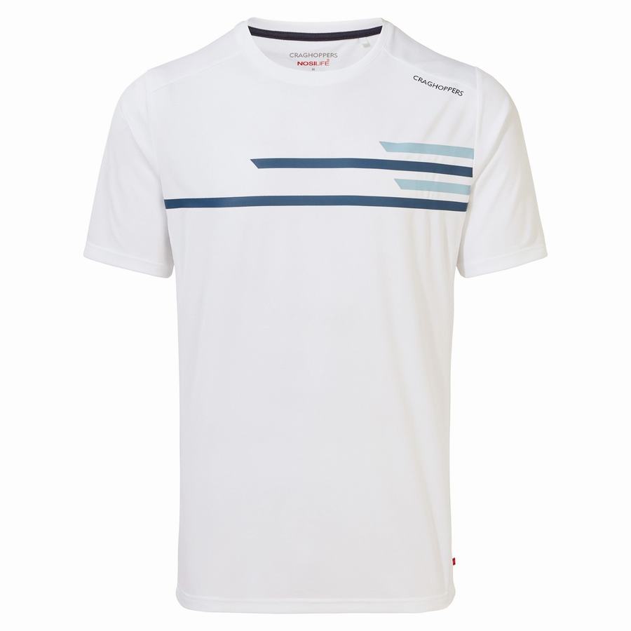 Camisetas Craghoppers NosiLife Pro Active Corta Sleeved Hombre Blancos | YNT8074AV