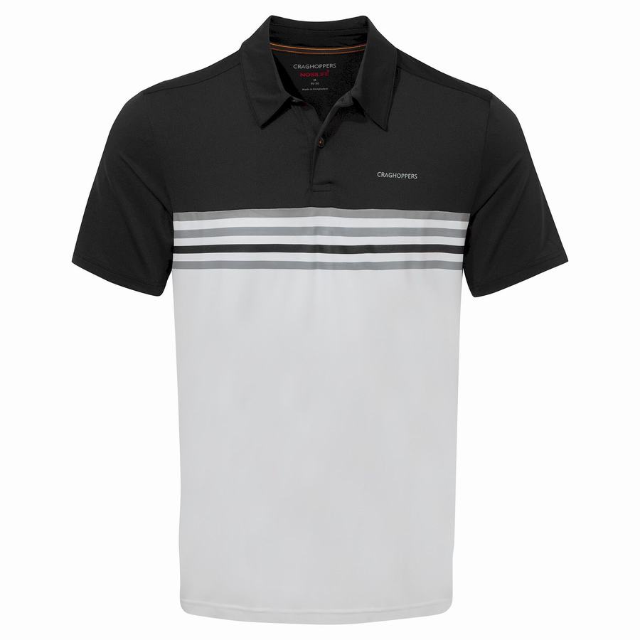 Camisetas Craghoppers NosiLife Pro Corta Sleeved Polo Hombre Negros Blancos | BYZ1256HB