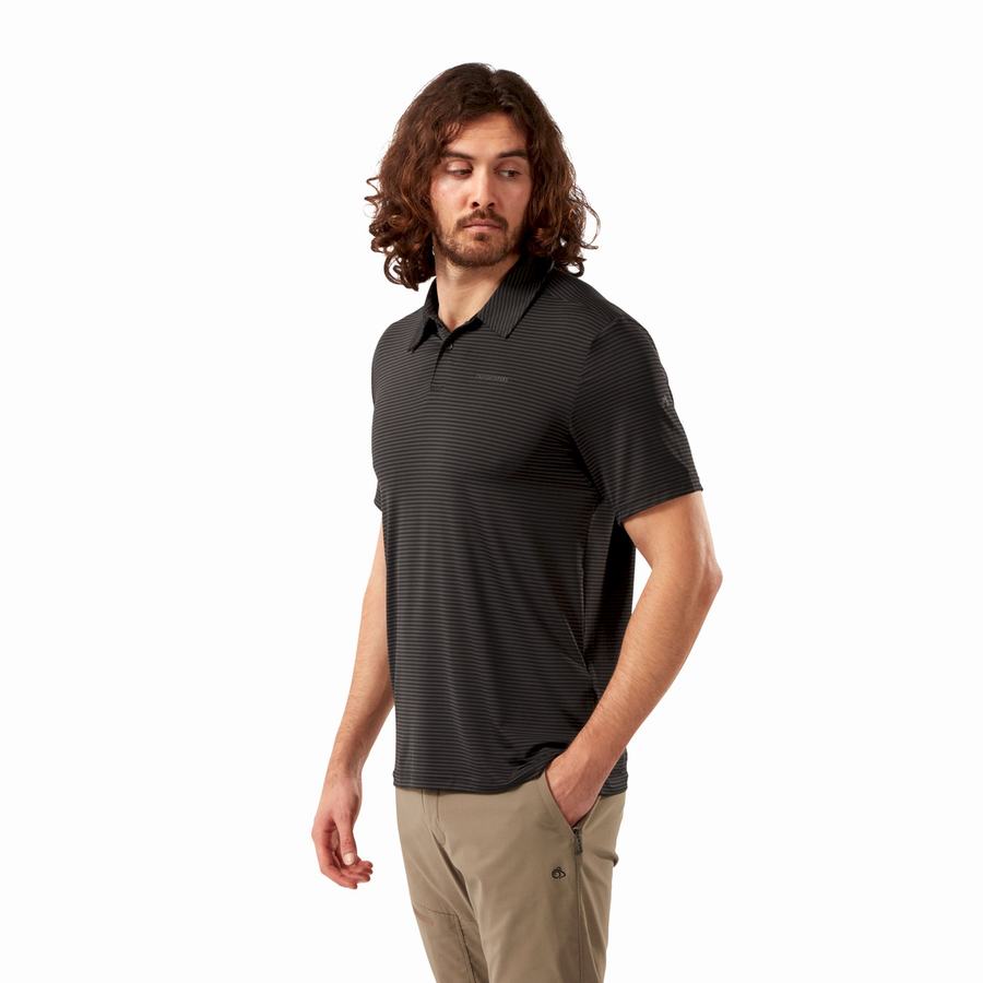 Camisetas Craghoppers NosiLife Pro Corta Sleeved Polo Hombre Negros | UTS5660WI