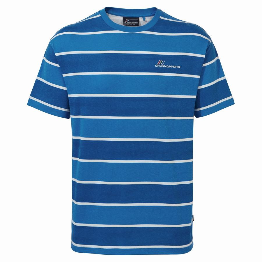 Camisetas Craghoppers Ventura Corta Sleeved Hombre Azules | LBR7246SW