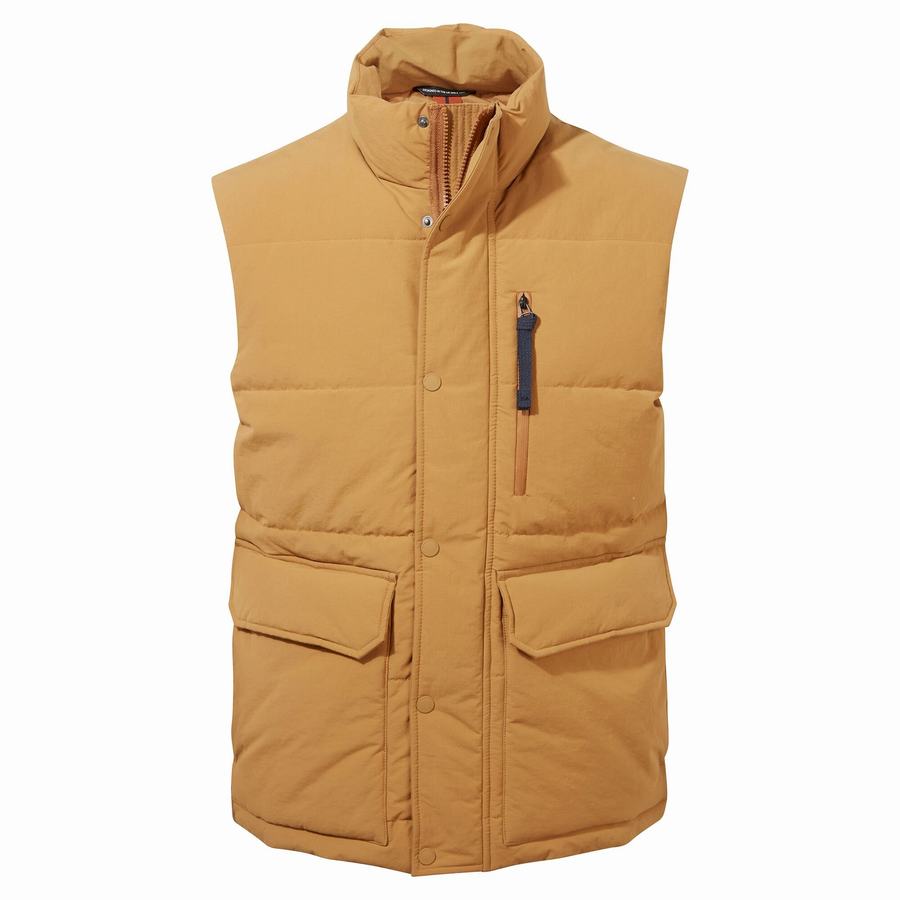 Chalecos Craghoppers Dunbeath Vest Hombre Grises Marrom | XNV4181IP