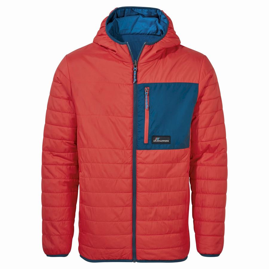 Chaquetas Craghoppers Cameo CompressLite Encapuchado Hombre Naranjas Rojos | ETO2217LB