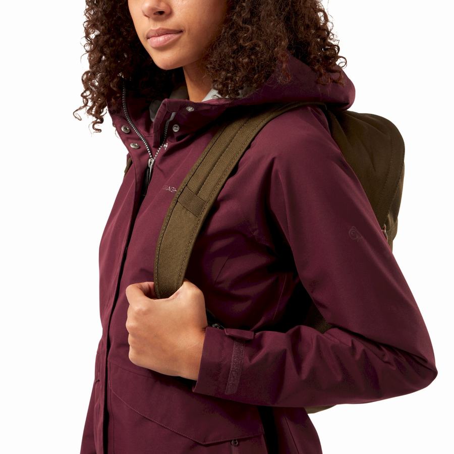 Chaquetas Craghoppers Ellis GORE-TEX Mujer Rojos Oscuro | WHR294JU