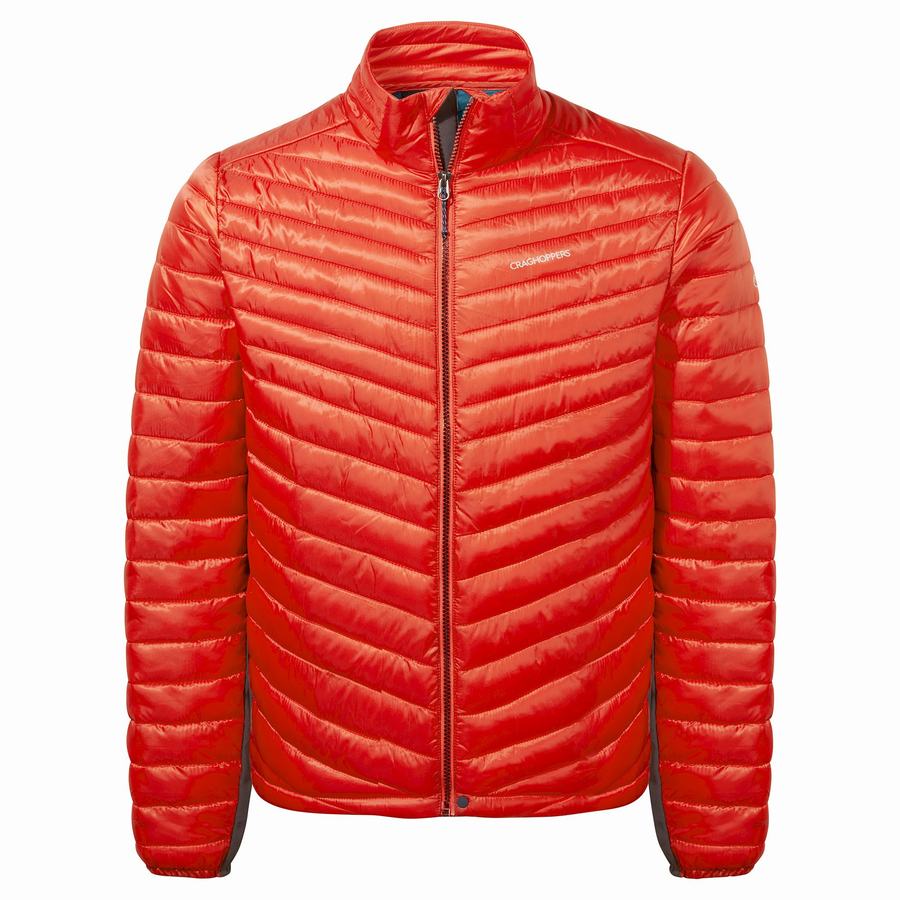 Chaquetas Craghoppers ExpoLite Insulated Hombre Rojos | DZN6819PF