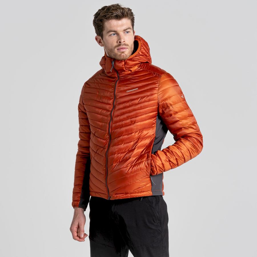 Chaquetas Craghoppers ExpoLite Insulated Encapuchado Hombre Naranjas | LRL3548XO