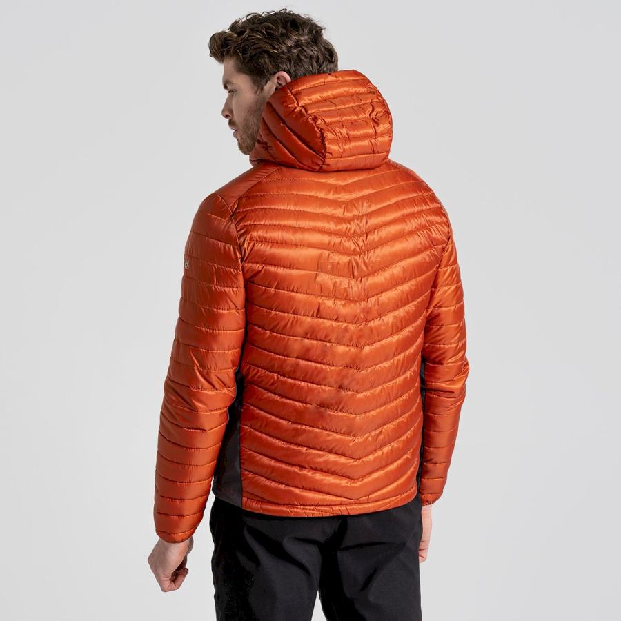 Chaquetas Craghoppers ExpoLite Insulated Encapuchado Hombre Naranjas | LRL3548XO