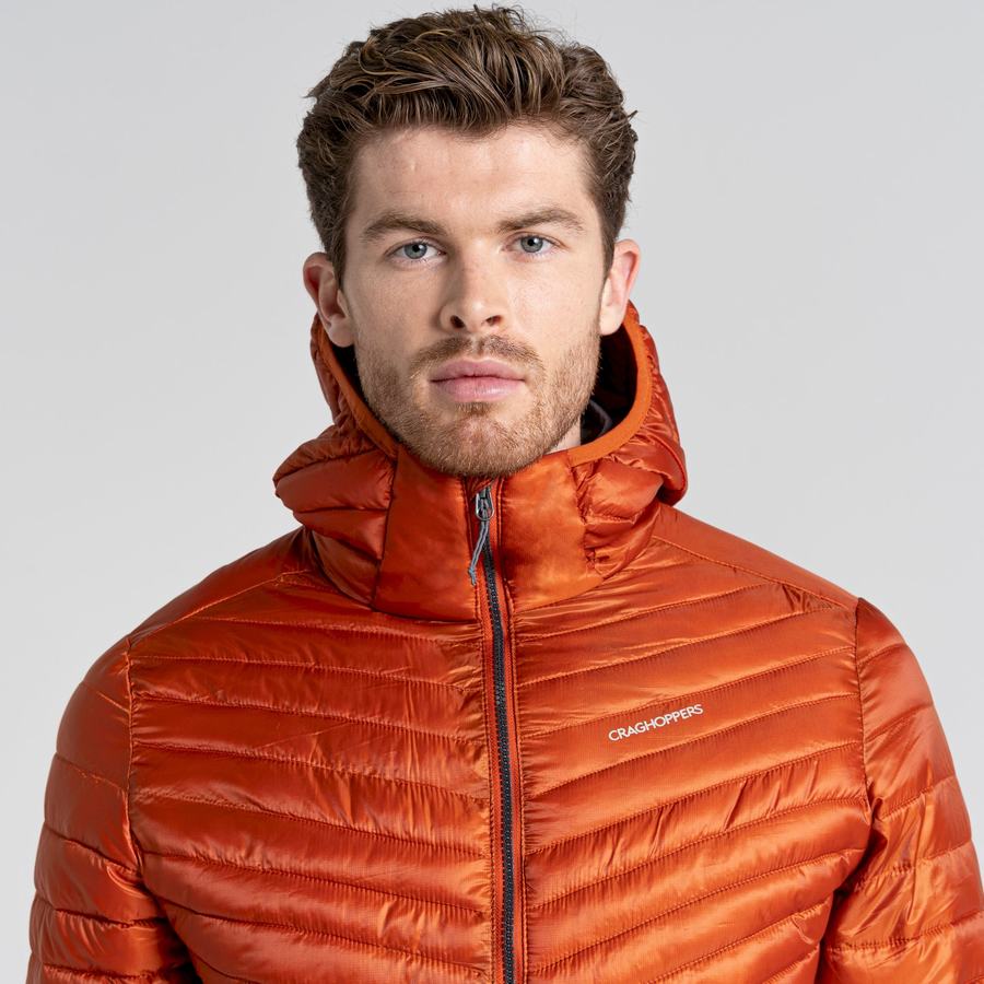 Chaquetas Craghoppers ExpoLite Insulated Encapuchado Hombre Naranjas | LRL3548XO