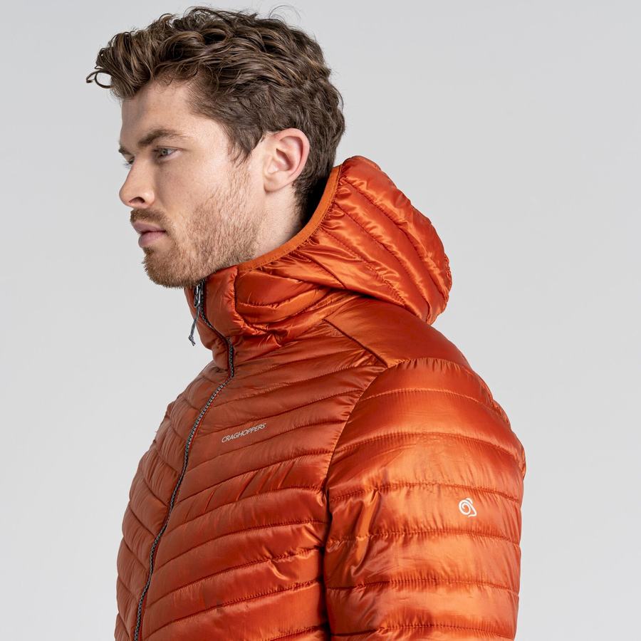 Chaquetas Craghoppers ExpoLite Insulated Encapuchado Hombre Naranjas | LRL3548XO