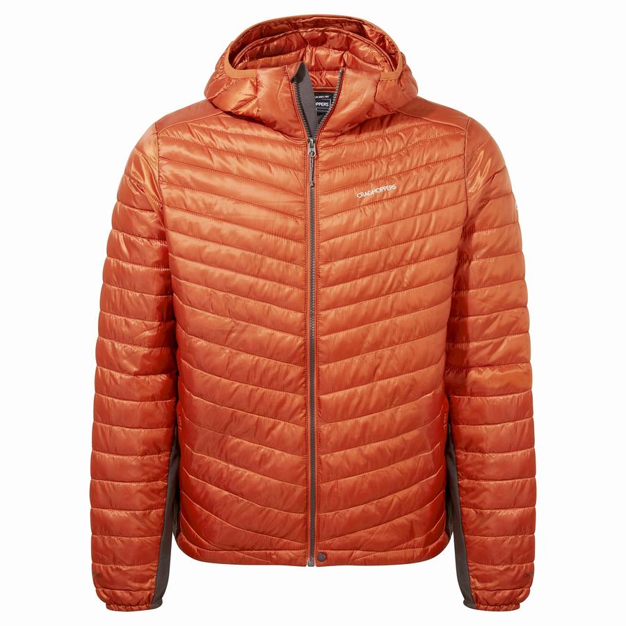 Chaquetas Craghoppers ExpoLite Insulated Encapuchado Hombre Naranjas | LRL3548XO