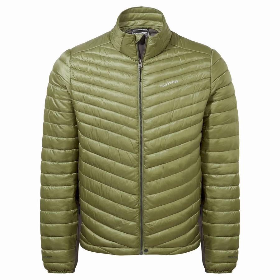 Chaquetas Craghoppers ExpoLite Insulated Hombre Verde Oliva Verdes | LWO8470CW