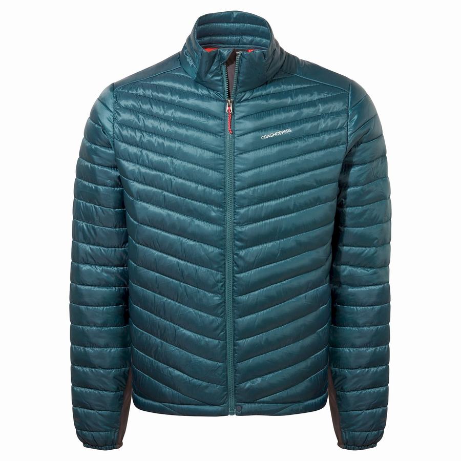 Chaquetas Craghoppers ExpoLite Insulated Hombre Azules Oscuro | USC5743TW